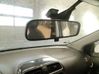 Rear view mirror (interior) 
