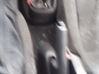 Motor del freno de mano/estacionamiento 