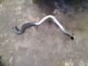 Intercooler hose/pipe 