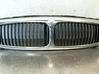 Front grill C2S38387