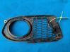 Front fog light trim/grill 
