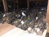 Engine bonnet/hood W10B16A