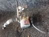 Bomba interna de combustible 73501167