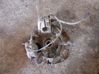 Rear wheel hub 