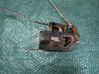 Front door lock 2444015EX
