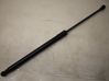 Tailgate/trunk strut/damper 8P3827552B