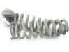 Front coil spring 
