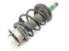 Front shock absorber with coil spring 