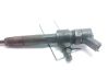 Fuel injector 0445110165