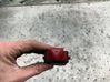Hazard warning light relay 
