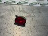 Reverse light 