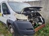 Motor y varillaje del limpiaparabrisas delantero 