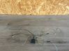 Otros cableados 
