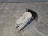 Tailgate lock latch 06Y29