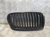 Atrapa chłodnicy / Grill 51137200728
