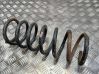 Feder hinten 