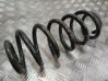 Front coil spring 