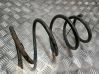 Front coil spring 