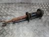 Front shock absorber/damper 