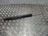Rear shock absorber/damper 