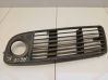 Front fog light trim/grill 