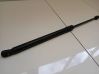 Tailgate/trunk strut/damper 