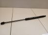Tailgate/trunk strut/damper 