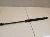 Tailgate/trunk strut/damper 31276851
