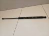 Tailgate/trunk strut/damper 