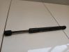 Tailgate/trunk strut/damper 