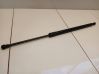 Tailgate/trunk strut/damper 