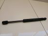 Tailgate/trunk strut/damper 30779837
