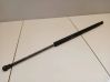 Tailgate/trunk strut/damper 