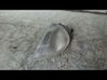 Front indicator light 7711130007