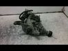 Rear differential 