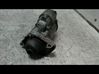 Starter motor 233001073R