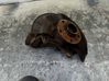 Front wheel hub spindle knuckle 