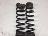 Rear coil spring 6875395