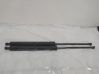 Tailgate/trunk strut/damper 