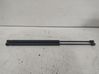 Tailgate/trunk strut/damper 6N11N406A10AA