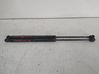 Tailgate/trunk strut/damper 