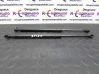 Tailgate/trunk strut/damper 