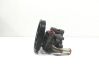 Power steering pump 4743974AC
