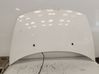 Engine bonnet/hood 7901N0