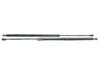 Tailgate/trunk strut/damper 51243400379