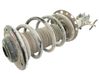 Amortiguador delantero con muelle espiral 824904001232