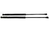 Tailgate/trunk strut/damper 50509830