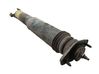 Rear shock absorber/damper 