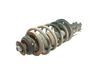 Front shock absorber with coil spring 