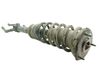 Front shock absorber with coil spring 